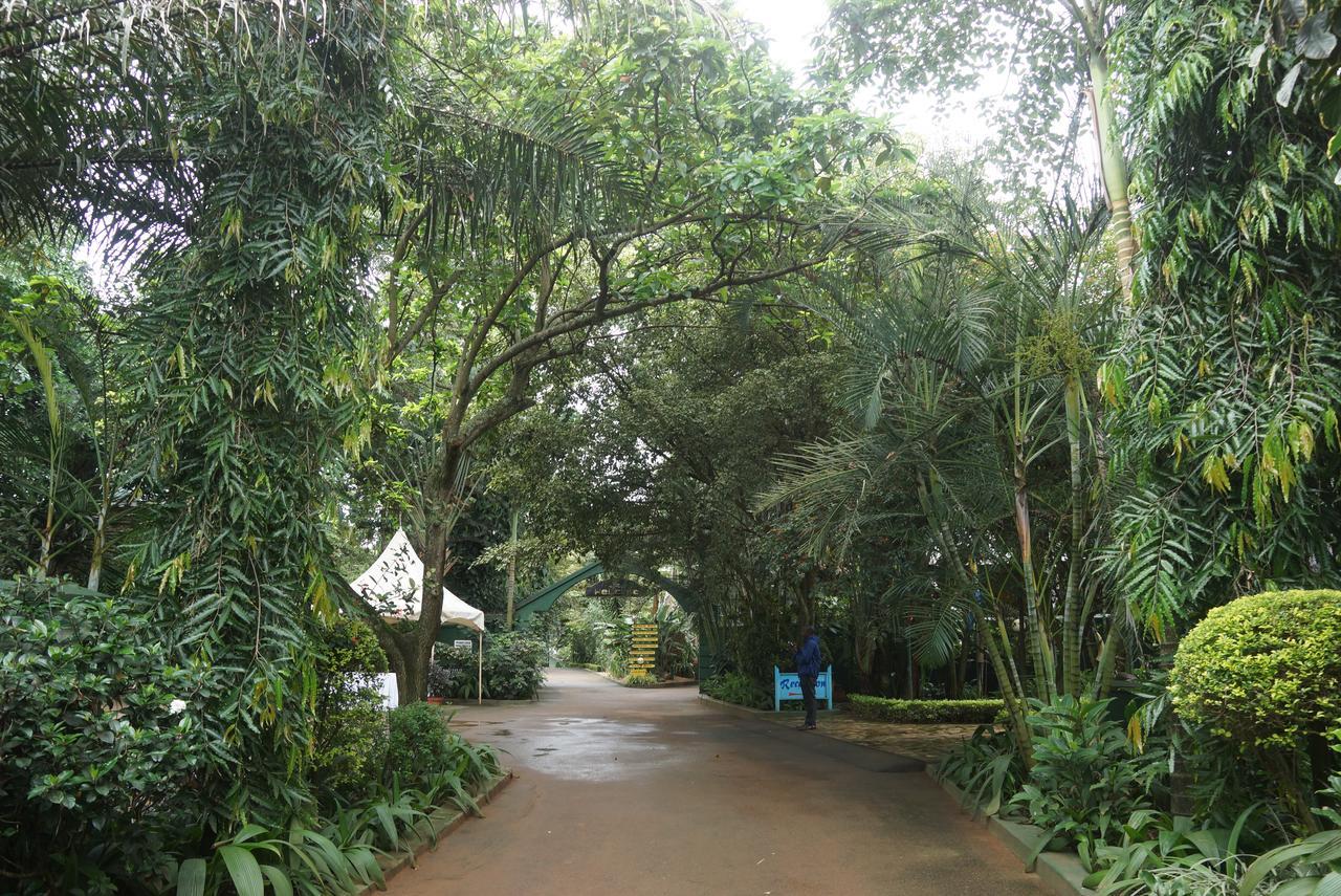 Country Lake Resort Garuga Entebbe Exterior foto